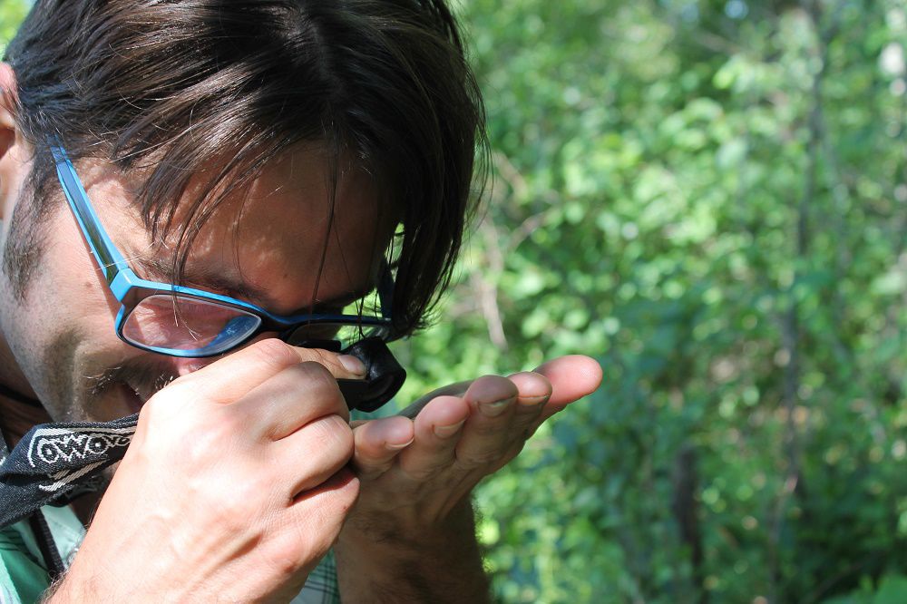 Take a hike ... and explore the great outdoors in the Region